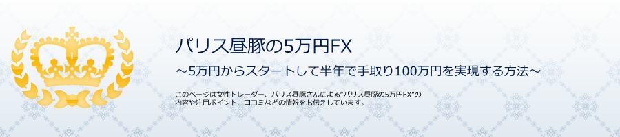 �p���X���؂�5���~FX ���R�~ ����